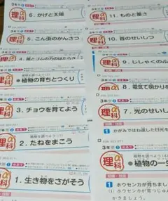 カラーテスト　理科　アルファ　小3　新学社　記入済のサムネイル