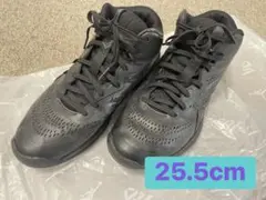 asics gel バスケットボール