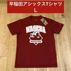 大学 Tシャツ