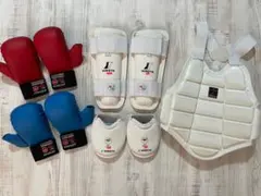 HIROTA（ヒロタ）ボディプロテクター インステップガード シンガード 拳サポ