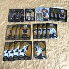 ツイステッドワンダーランド　ツイステ　ウエハース　メタルカード　サバナクロー