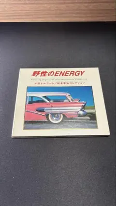 希少 B’z 野性のENERGY α波オルゴール 松本孝弘コレクション CD