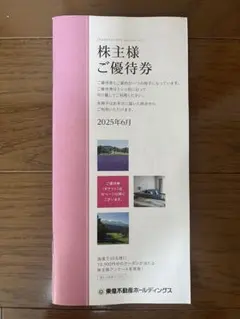 東急不動産ホールディングス　株主優待券　1冊