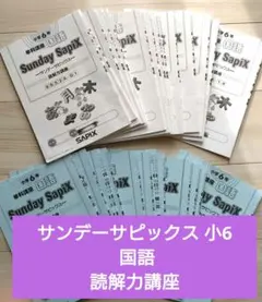 サンデーサピックス 小6 国語 読解力講座