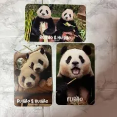 everland パンダ　非売品トレカ　FUBAO RUIBAO HUIBAO
