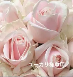 ユーカリ様専用✨イヴ・サンローランクッションファンデーション 20