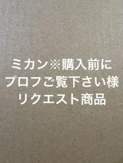 ミカン ※購入前にプロフご覧下さい様 リクエスト 2点 まとめ商品
