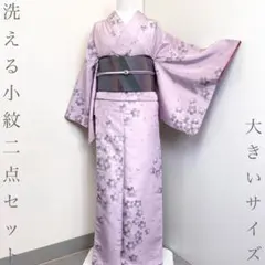 【着物と帯 時流】ポ26164s◆洗える着物小紋二点セット◆大きいサイズ 組曲桜