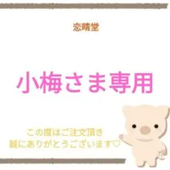 小梅さま専用