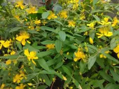 gonn様 リクエスト 3点 まとめ商品