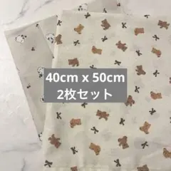 シマエナガ くま ランチョンマット 2枚セット【316】