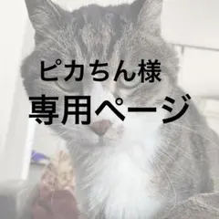 ピカちん様専用ページ
