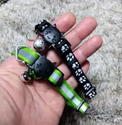 Item thumbnail for item 868cdf14-cf4d-4fad-8273-24a6d476220c