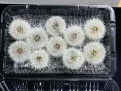 S【24時間以内発送】【期間限定値下げ】様 リクエスト 3点 まとめ商品