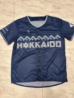 Item thumbnail for item 13442a2c-8763-490f-bcec-528d0130f91b