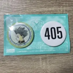HUNTER×HUNTER ゴン　缶バッジセット　旧