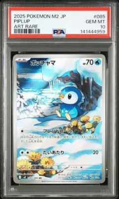 ポッチャマ AR PSA10 M2 085/080 インフェルノX