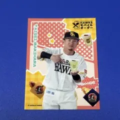 후쿠오카 소프트뱅크 호크스 마키하라 다이세이 타카콜레 카드