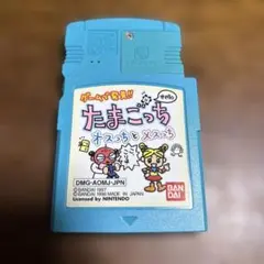 2025年最新】オスっちの人気アイテム - メルカリ