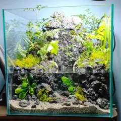 【rii様専用】アクアテラリウム完成品_滝の流れる15cmキューブ水槽