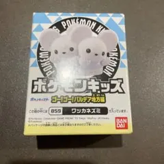 ワッカネズミ　ポケモンキッズ