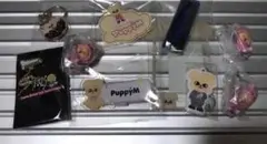 スキズ　SKZOO スンミン　PuppyM キーホルダー　ガチャ