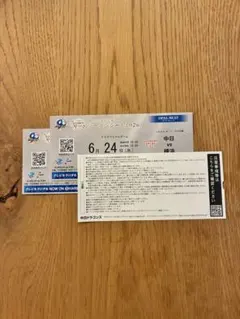 주니치 드래곤즈 2026 시즌 시트 오팔 시트 6/24쌍 정가 이하