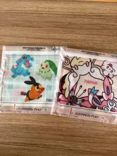 ポケモン　ハンドタオル　2点セット