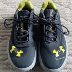 Item thumbnail for item 3f515766-799e-43e7-bdf5-4086dcad4687