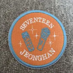 SEVENTEEN JEONGHAN ピンバッジ