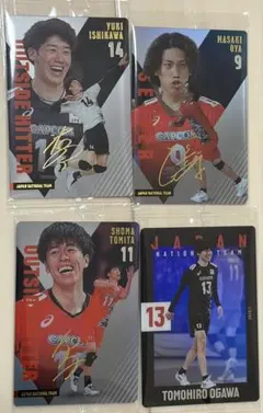 バレーボール 日本代表 トレーディングカードセット