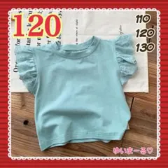新品 半袖 袖フリル Tシャツ カットソー トップス 水色 女の子 120
