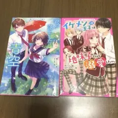 【イケメン王子×4は、地味子ちゃんを溺愛したい。】【君が落とした青空】