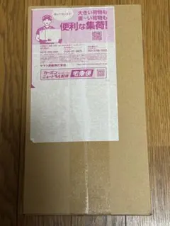 ポケモンセンターヒロシマ　スペシャルボックス[未開封]