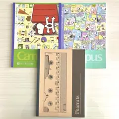 【PEANUTS】ノートセット スヌーピー B5ノート 30ページ 3冊