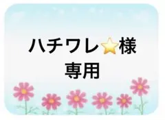 ハチワレ⭐様専用
