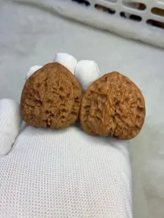 白獅子 文玩核桃 39-42-37mm - メルカリ