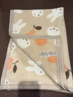 Item thumbnail for item 65f23050-3a40-4829-9483-f70bceecd9fc