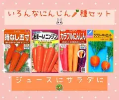 ぬぅ様 リクエスト 3点 まとめ商品