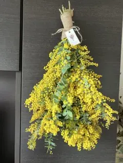 Item thumbnail for item 4488e3b7-d3d6-439f-a2a2-834990cdaef8