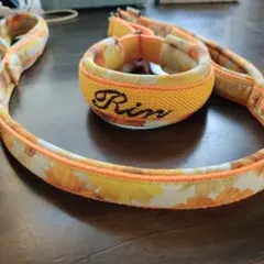 Item thumbnail for item 72a2e484-4a86-42d6-a765-f1c0aa238052