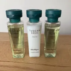 Item thumbnail for item 39bd198a-7912-4966-8cae-2feaf829f3f8