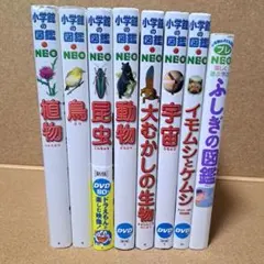 小学館の図鑑 8冊セット DVD付き