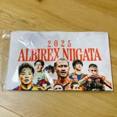 アルビレックス新潟　応援タオル　2025