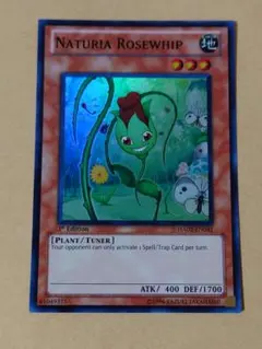 遊戯王 ナチュル・ローズウィップ - メルカリ