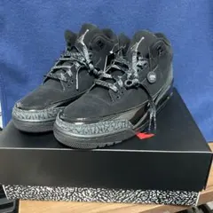 Nike Air Jordan 3 Retro 