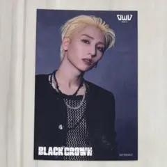 OWV 直筆サイン　ステッカー 2025年最新】OWV シールの人気アイテム - メルカリ