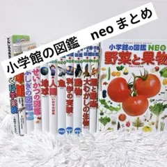 ひ*な様 小学館 図鑑NEOシリーズ　プレneo まとめ　セット