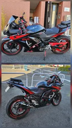 値下げ⭕️Ninja250 スタント仕様 フルカスタム ex250l - メルカリ