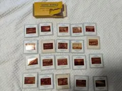 2026年最新】アンティークスライドフィルムの人気アイテム - メルカリ